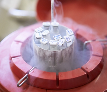 Sperm banking at in Frisco, TX from NTMIC Sperm Lab, Dr. Jeffrey Buch