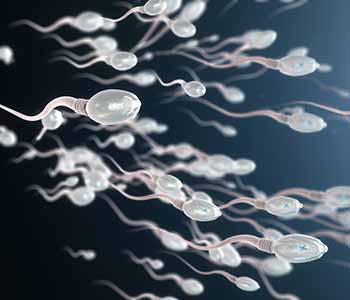 NTMIC Sperm Lab, Aa leading male infertility treatment center in Dallas TX explains what sperm banking is.