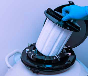 NTMIC Sperm Lab in Dallas TX offers a sperm banking service that you can trust to safely preserve samples and future plans.