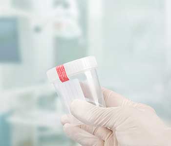 Quality semen analysis in Frisco TX