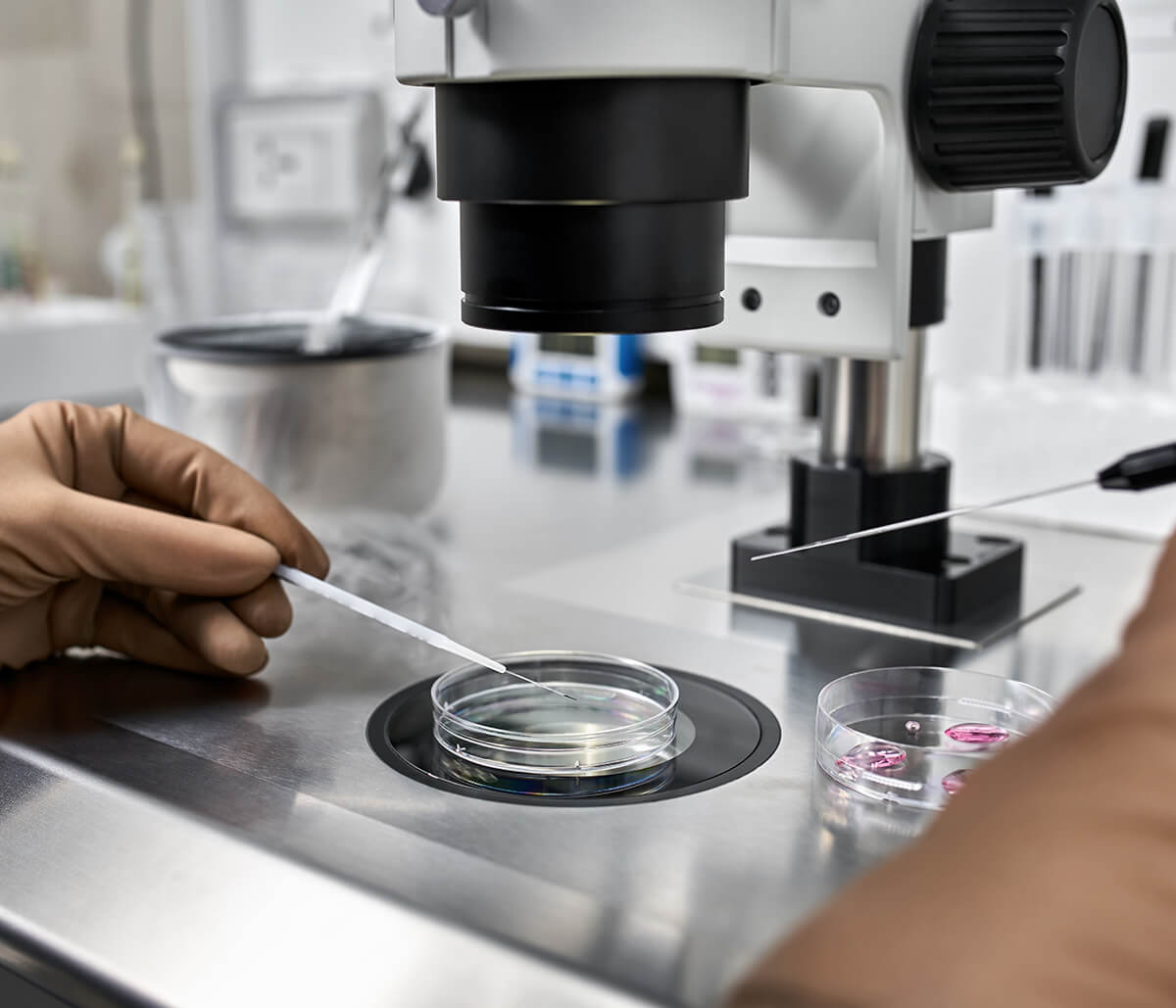 Sperm Freezing Procedure at NTMIC Sperm Lab in Frisco TX Area