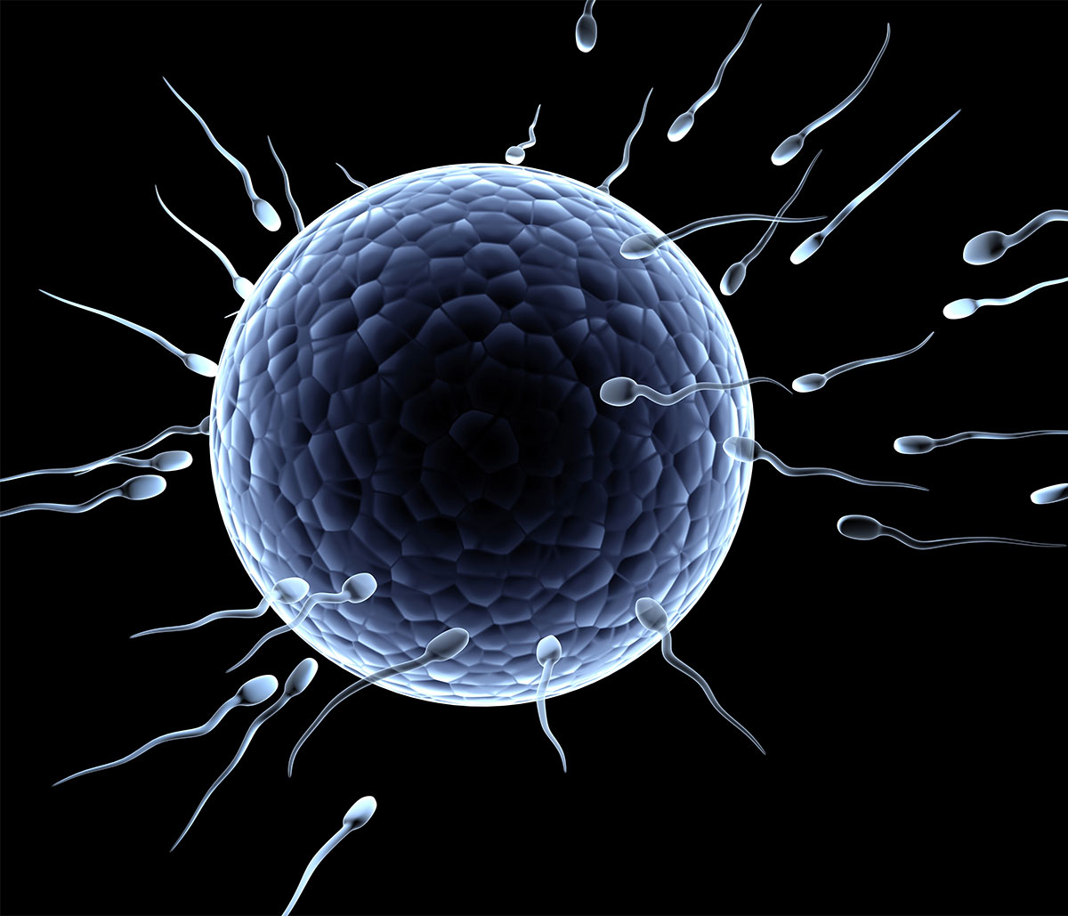 Sperm Banking for Cancer Patients in Frisco TX Area